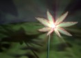 /album/photogallery/a3magnolia-jpg/