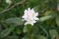 /album/photographs/img-0108-jpg/