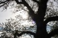 /album/photographs/img-0128-jpg/